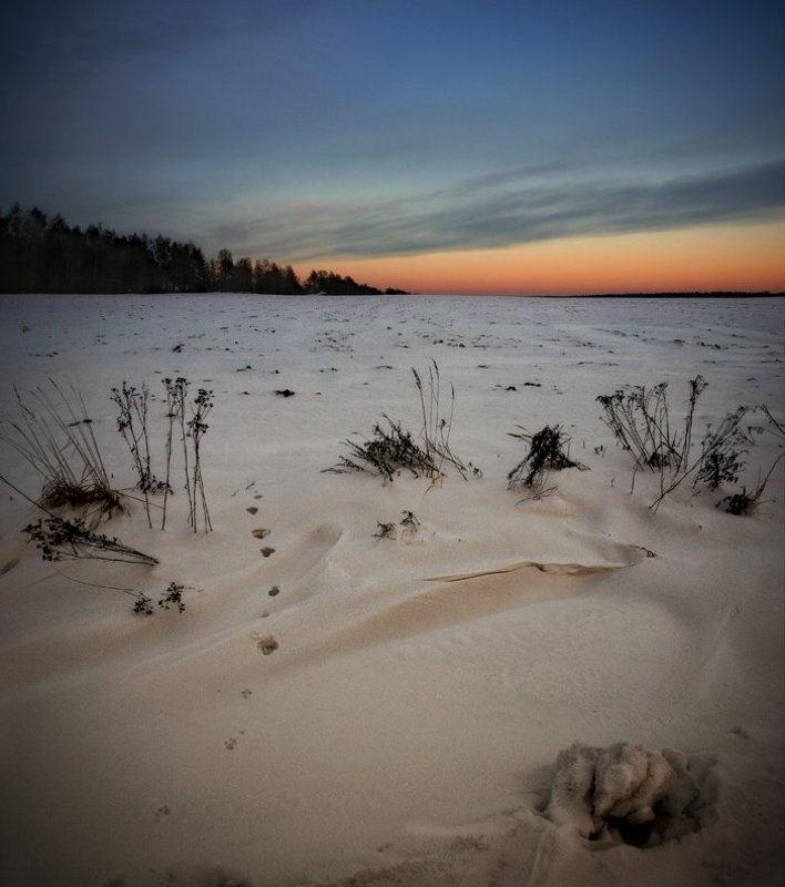 сумерки.. фото превью