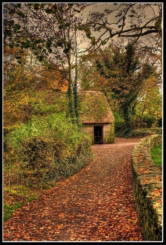 ireland Прогулки по осени фото превью