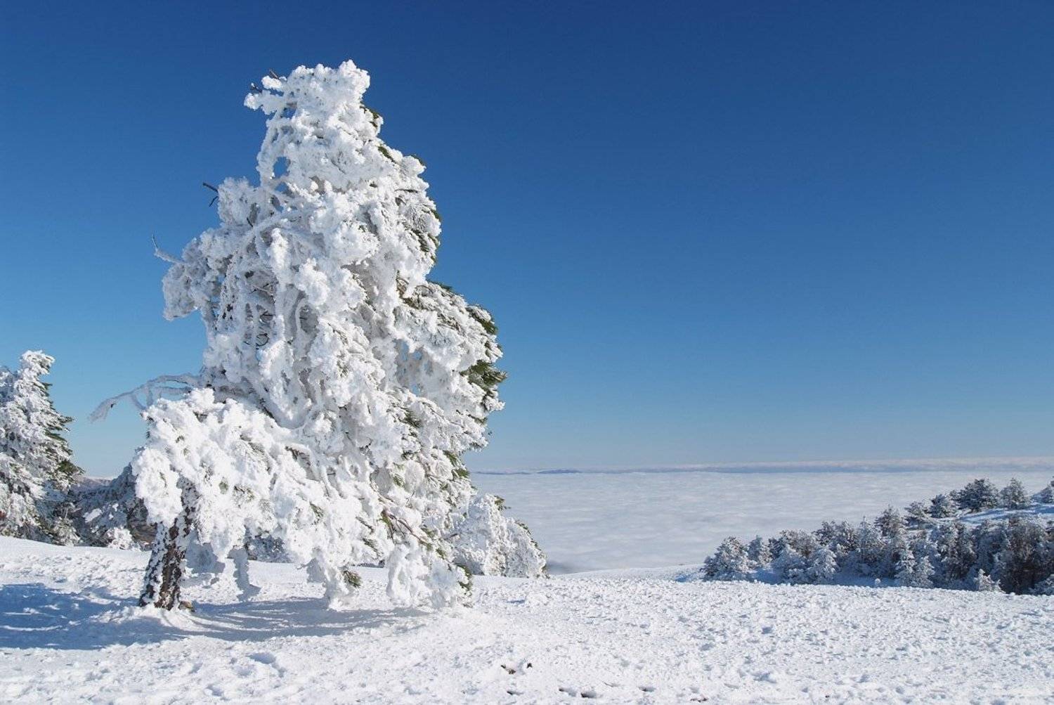 крым, Dmitriy Egorov