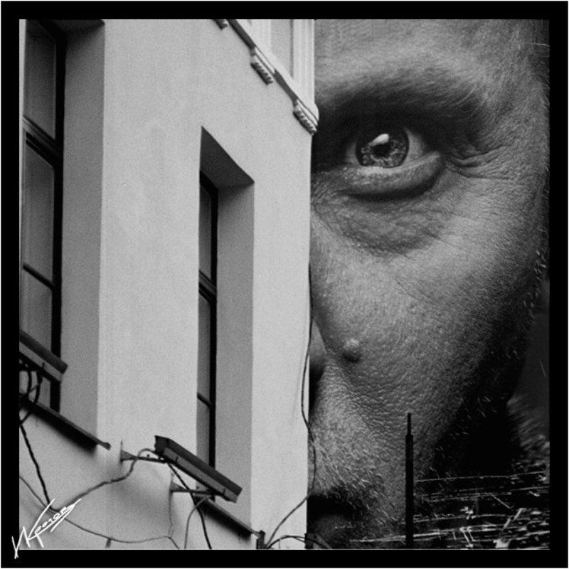 большой папа следит  фото превью