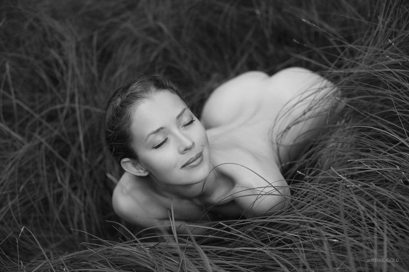 the, deep, forest, svenska, sagor, gold  фото превью