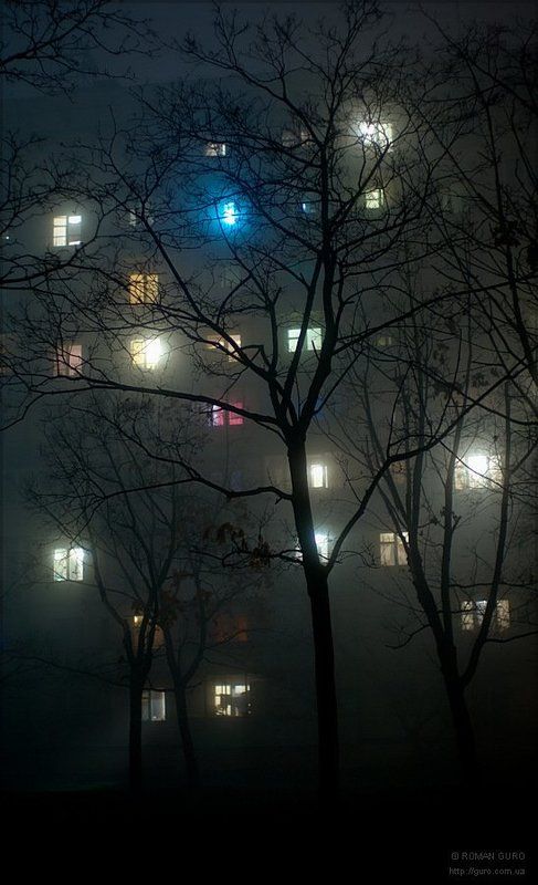 fog, туман  фото превью