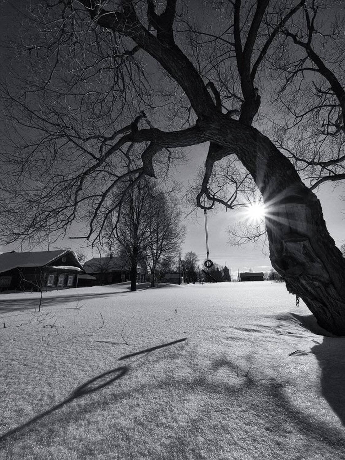 , Максим Евдокимов