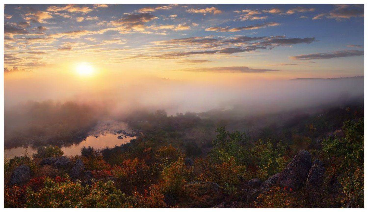 , Денис Кривой