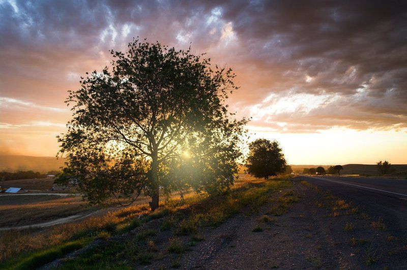 фотопутешествие, казахстан, природа  фото превью