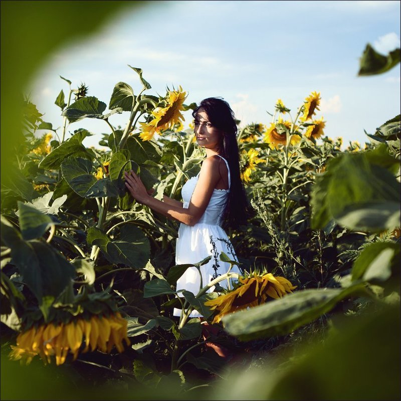 фото превью