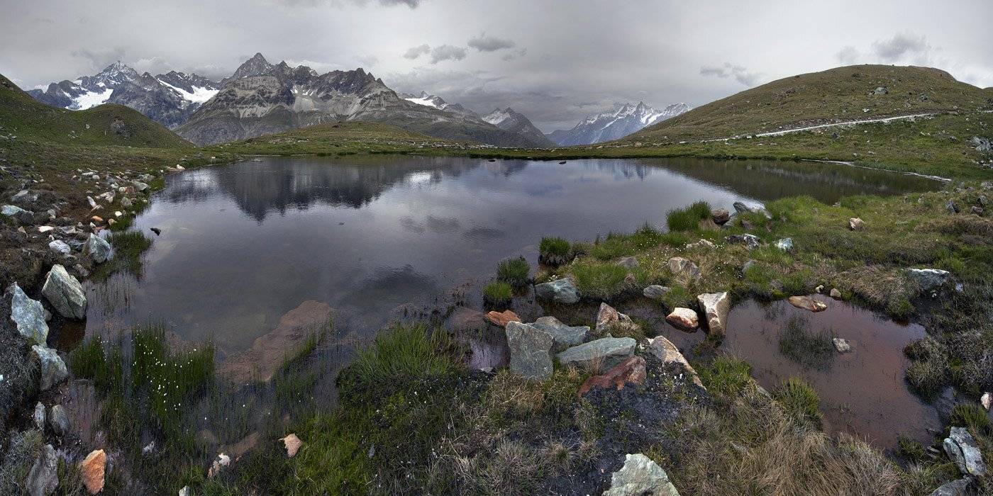 swiss, Матвеев Николай