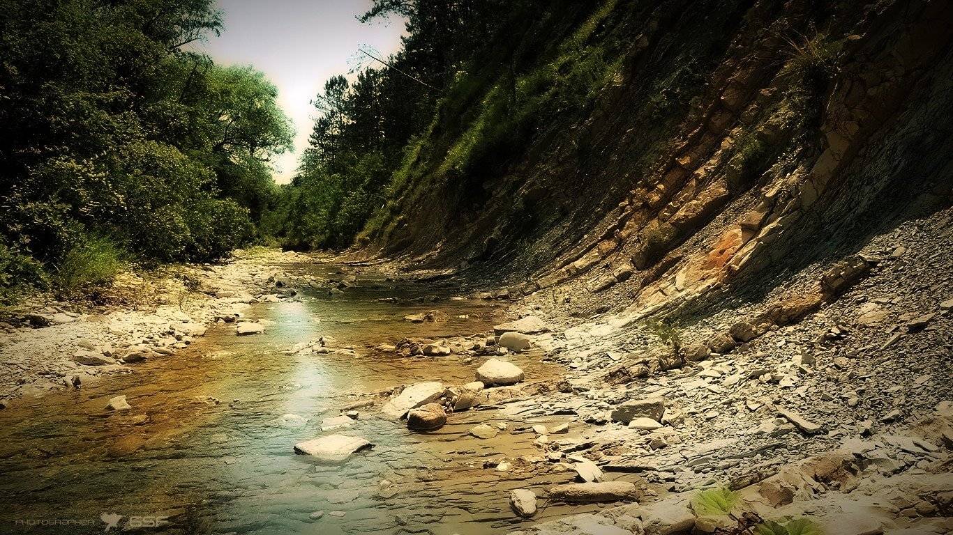 дебри, лес, река, скалы, Serj Master