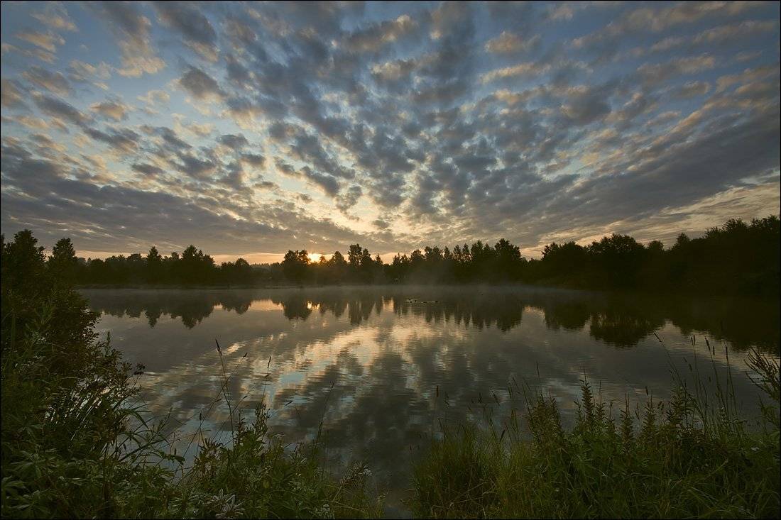 , Аркадий Белов