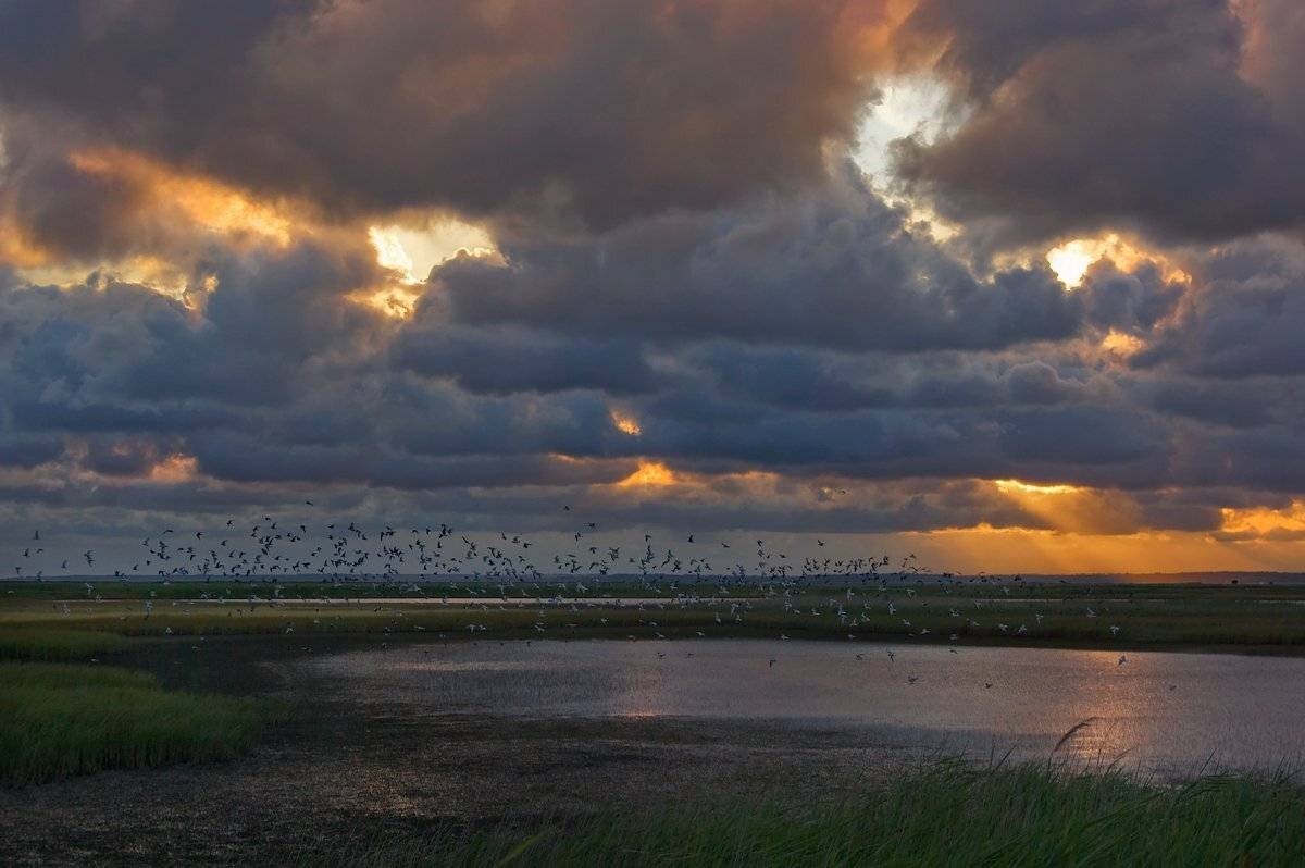 , Игорь Мелекесцев