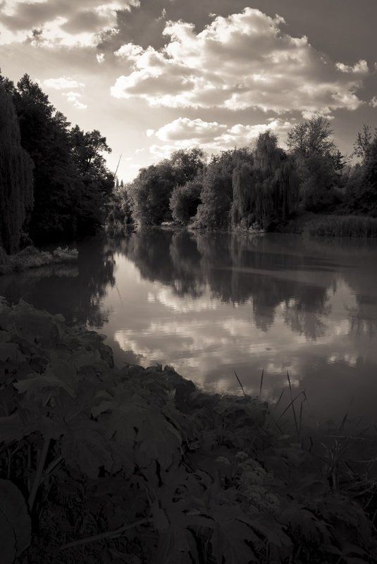 небо, вечер, облака, озеро, лес.  фото превью