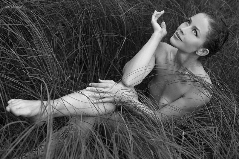 deep, forest, svenska, sagor, gold  фото превью