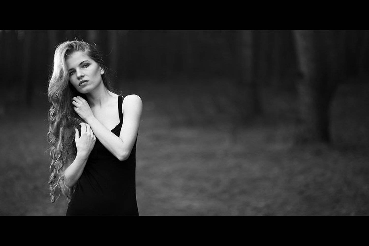 forest, slava, rarity, Сергей Белых