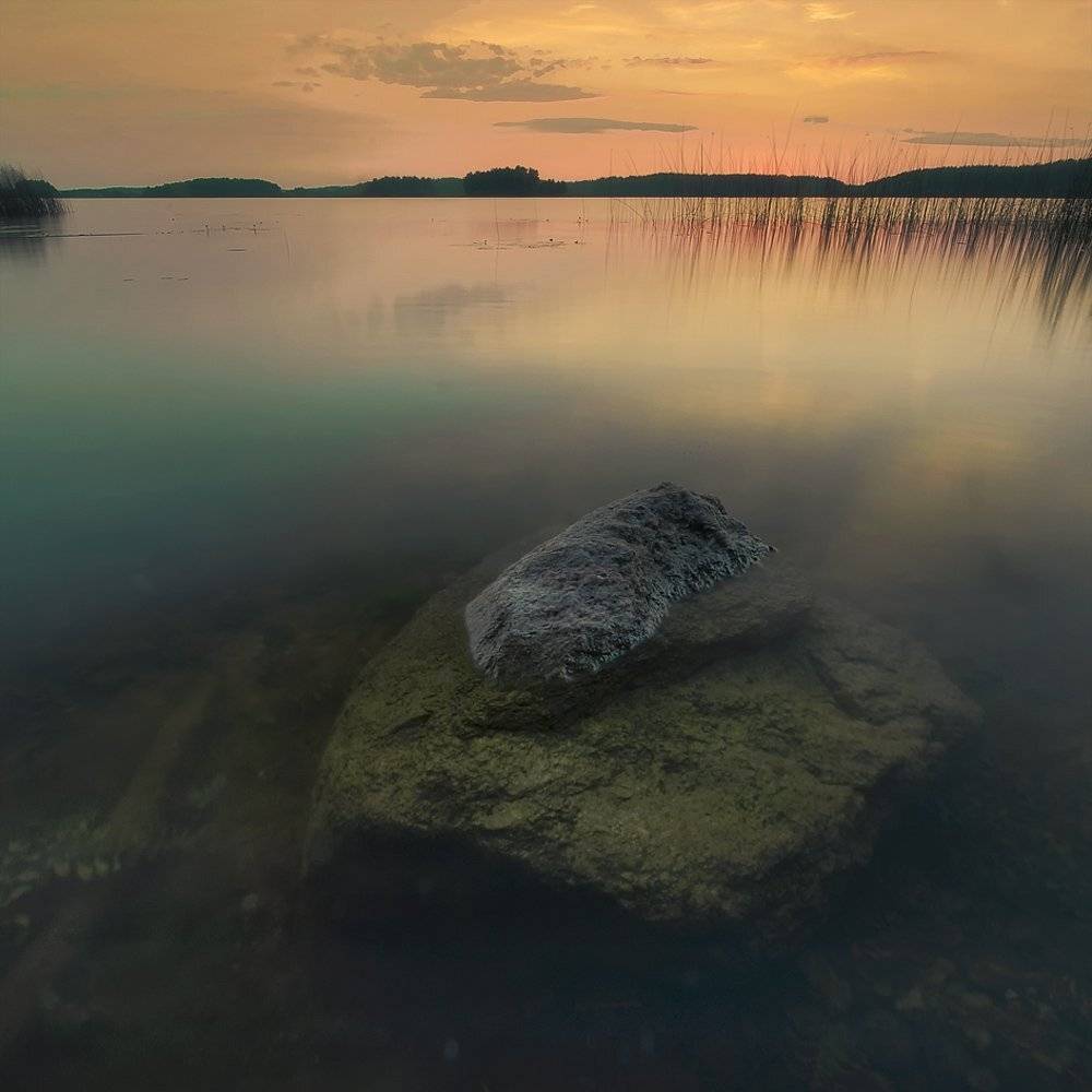 , Rimantas Bikulcius