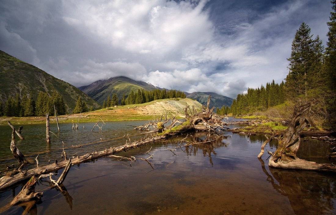 киргизия, Михаил Трахтенберг