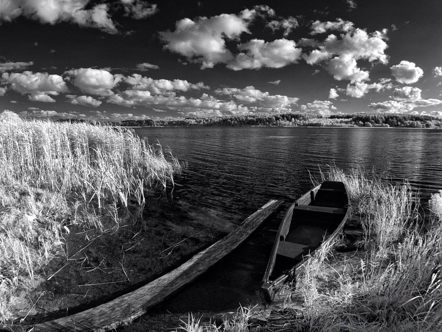 , Максим Евдокимов