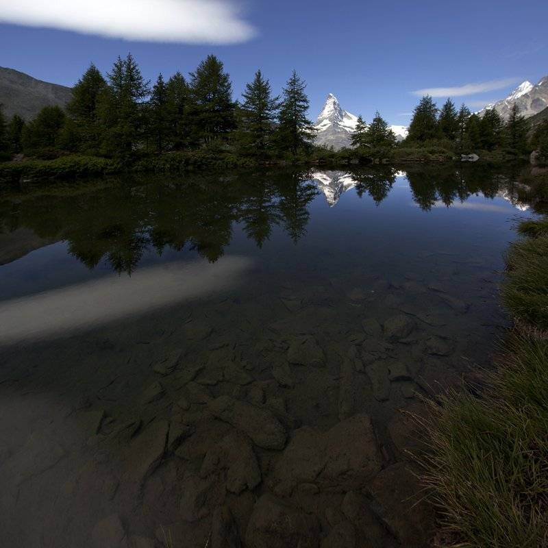 swiss, Матвеев Николай
