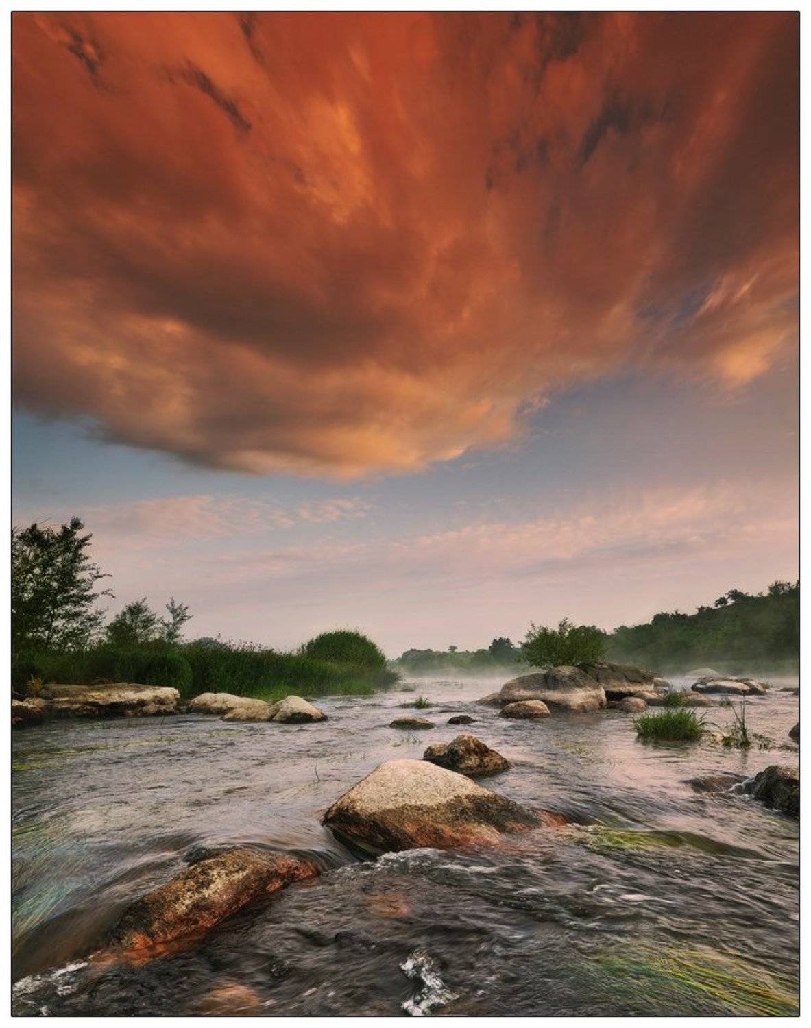 , Денис Кривой