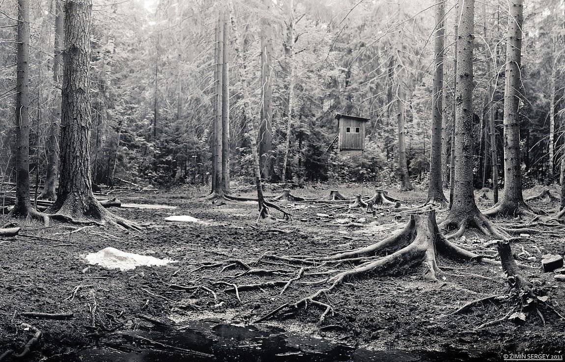 , Сергей Зимин