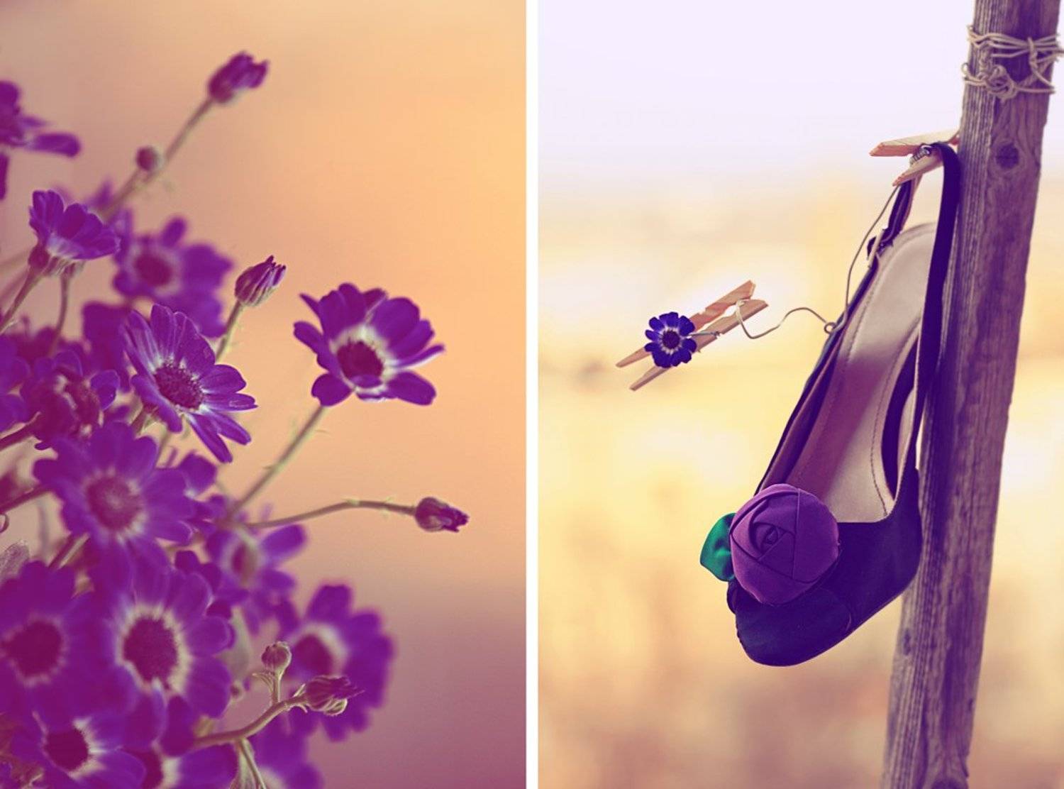 , Олеся Солнечная