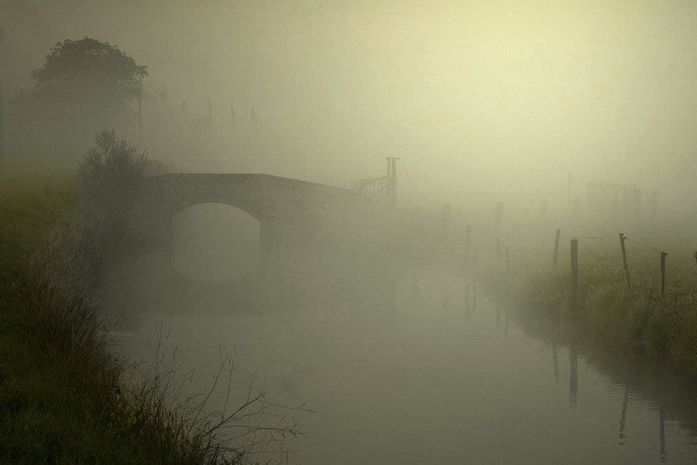 this, morning., Johny Hemelsoen