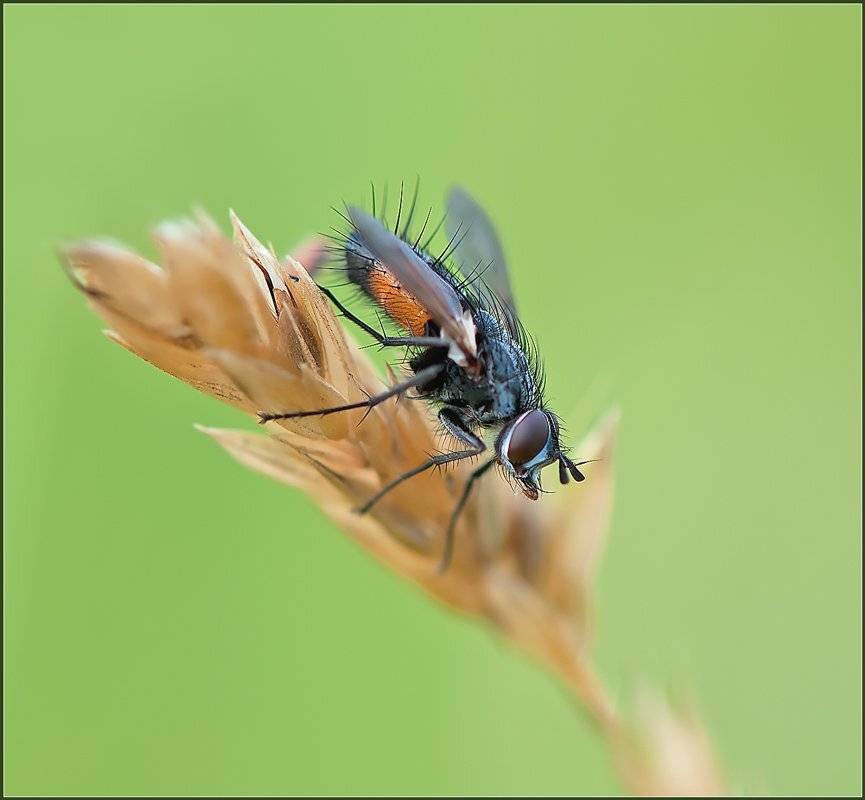 , Евгений Кирилкин.