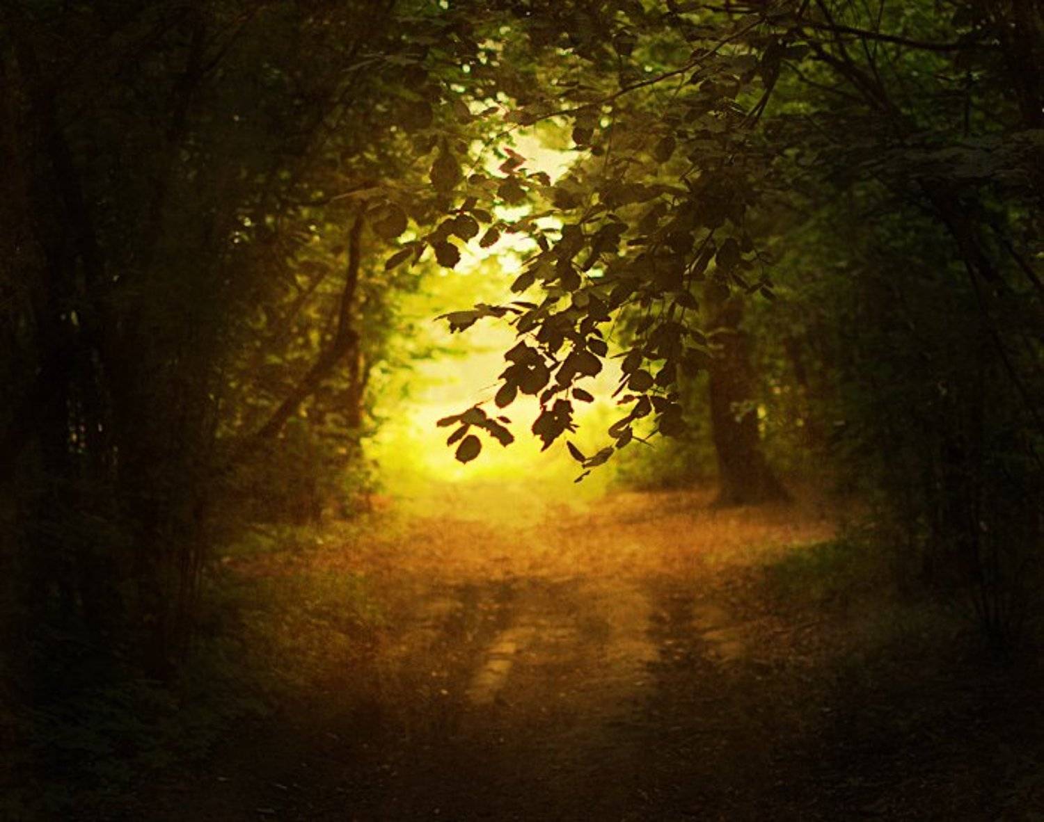 , Семёнова Юлия