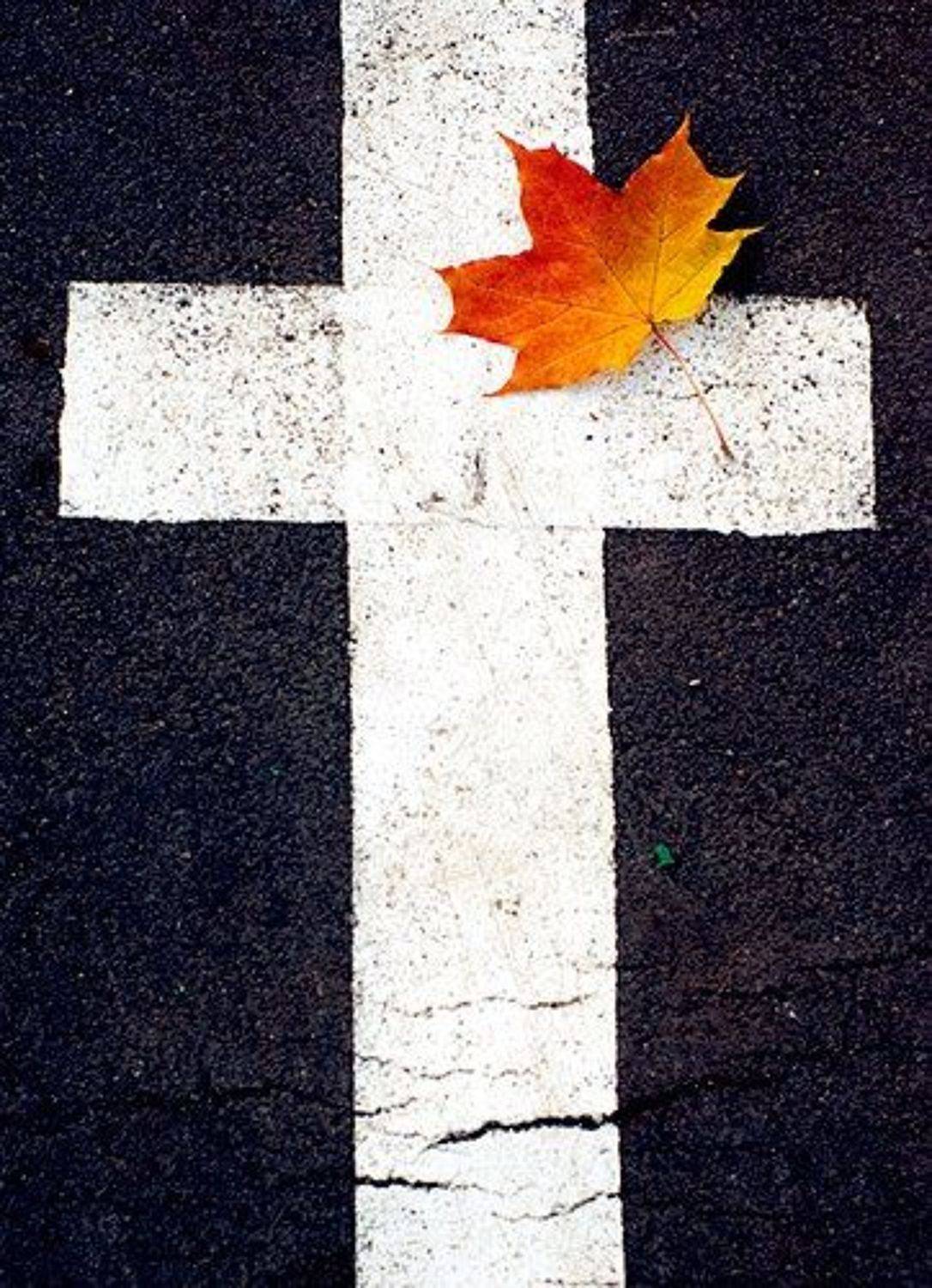 лист, крест, Mazanov Vitaly