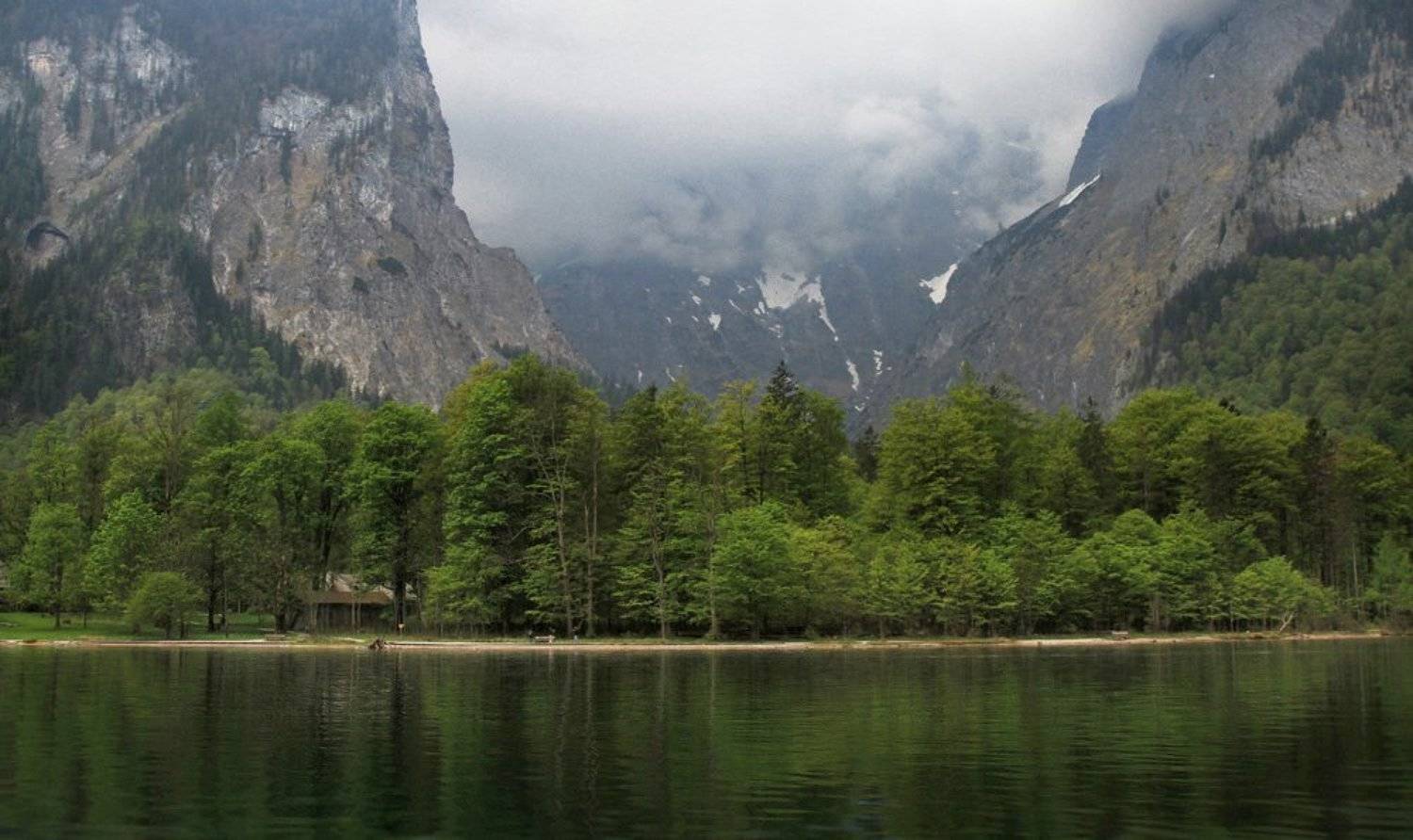 , Плечкова Ольга