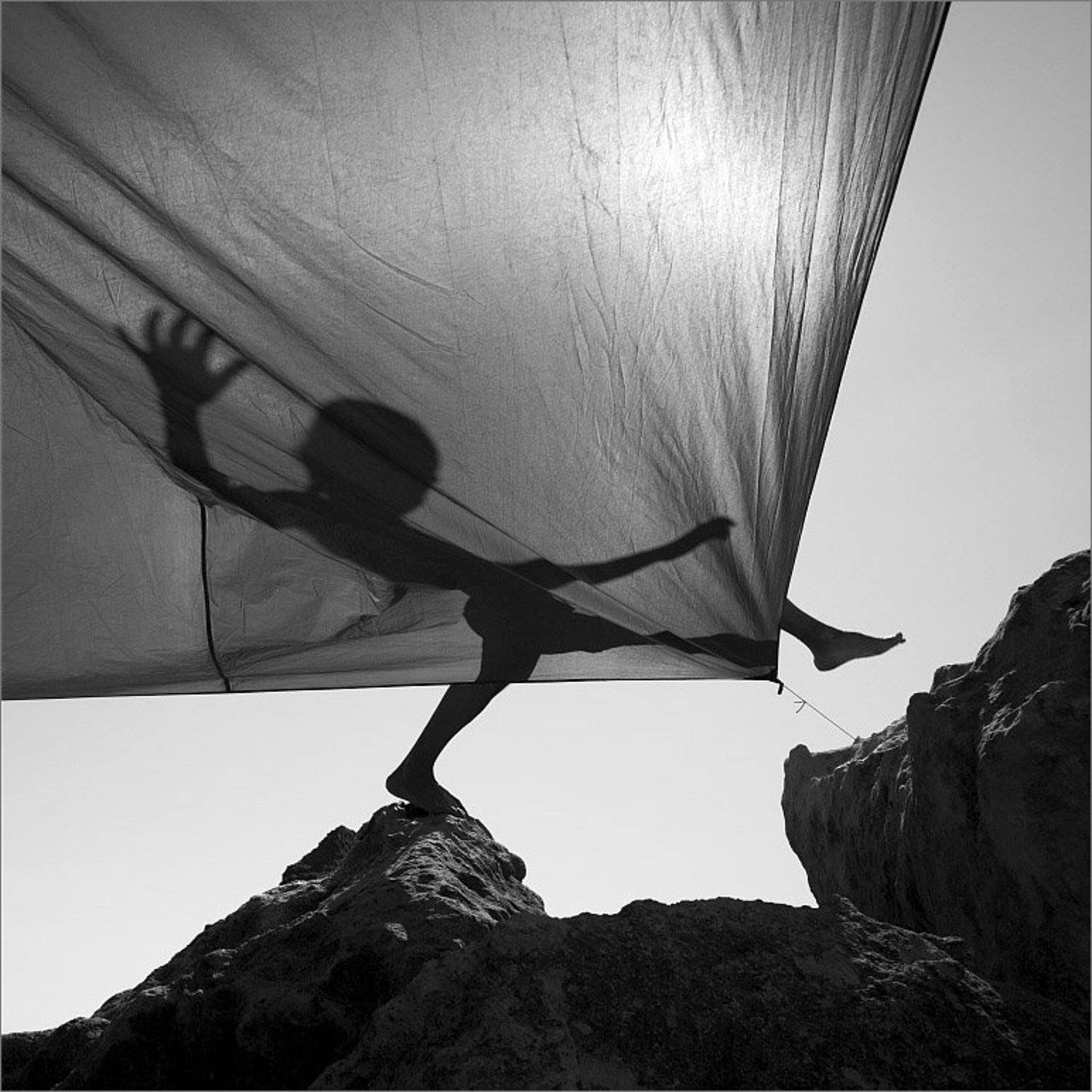 солнце, тень, Алексей Пучков