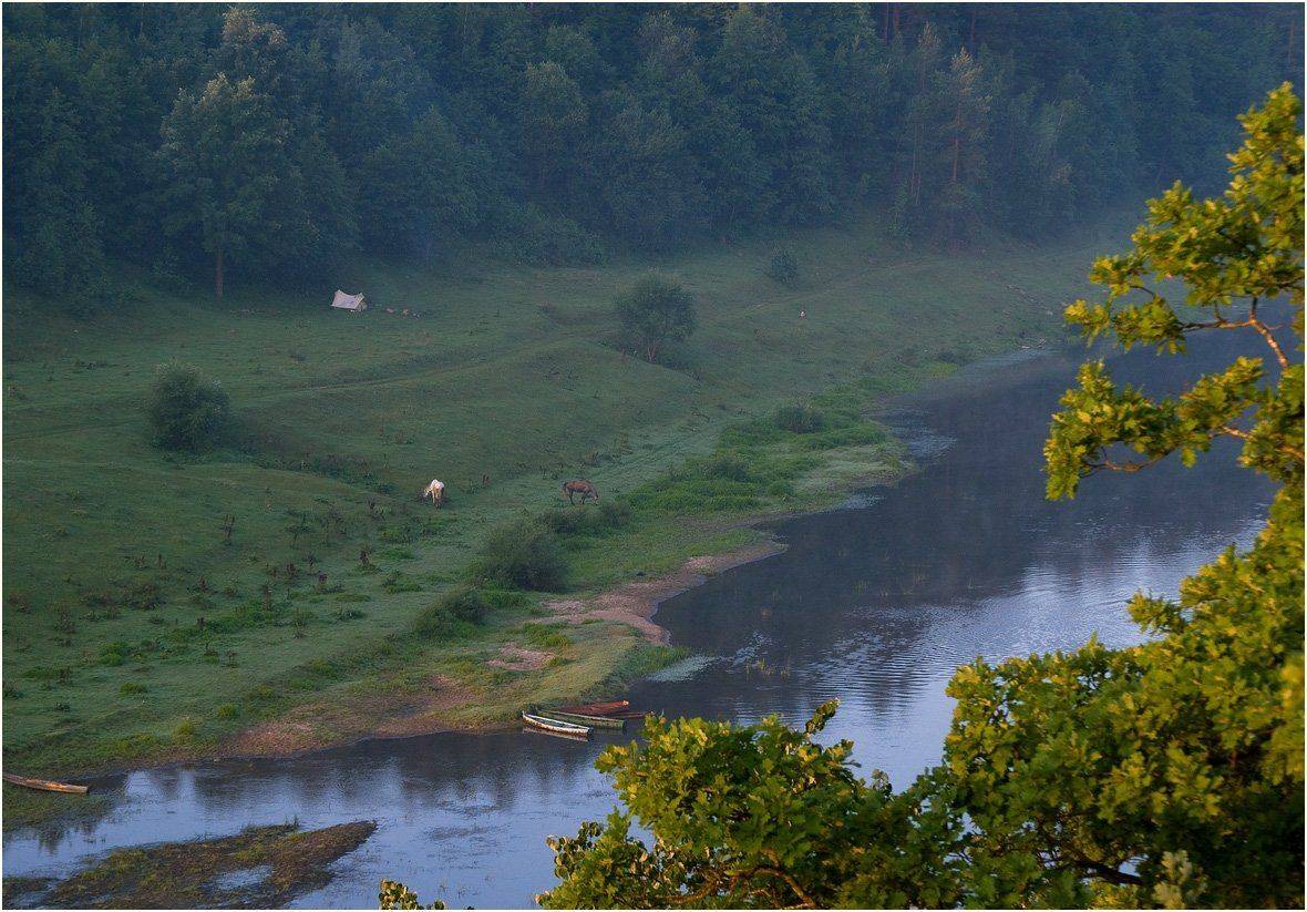 , Николай Шахманцир
