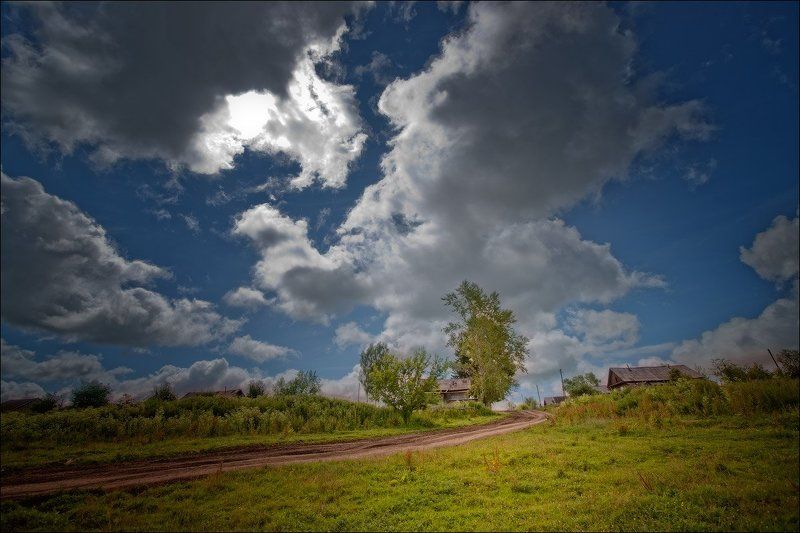 макарьевка.лето.тучи.трава.пихта, район.село, край.солтонский, алтайский  фото превью