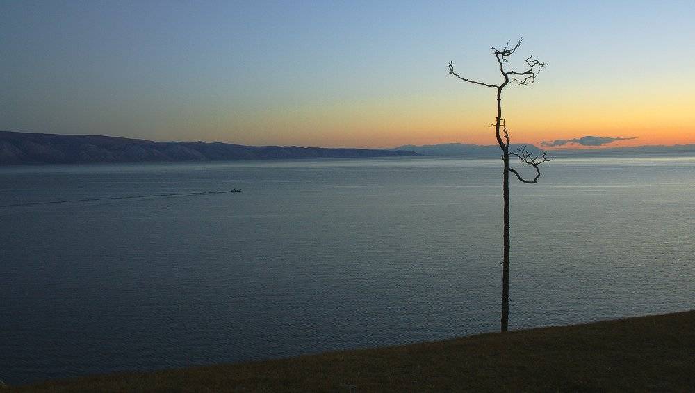, Николай Морский
