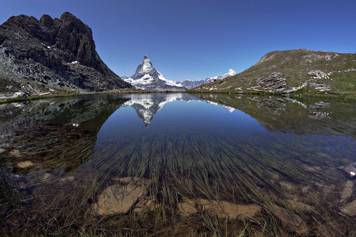 swiss, Матвеев Николай