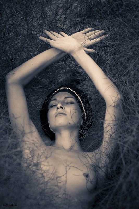 avgust, mark  фото превью