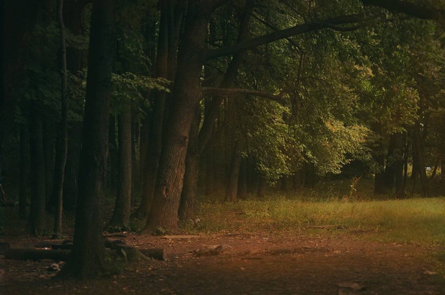 , Семёнова Юлия