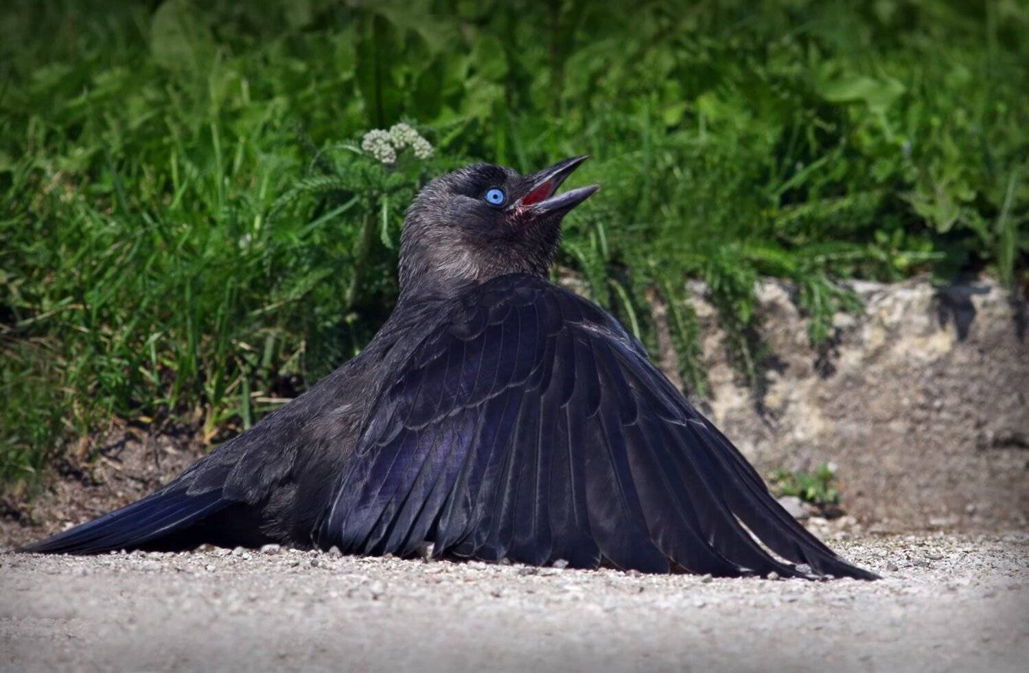 , Зоя Лаптева