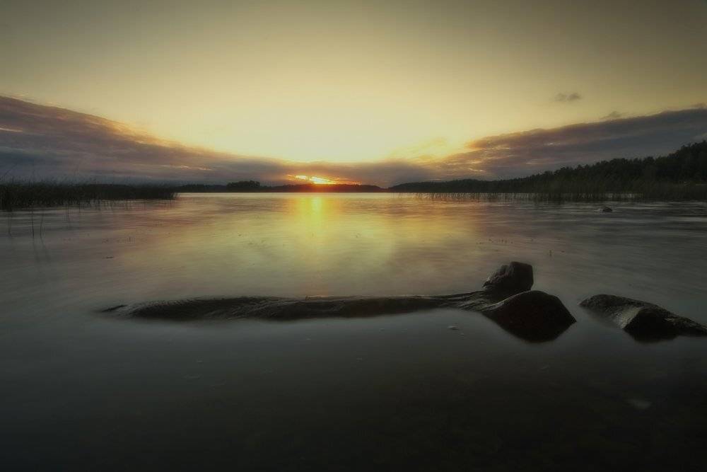 , Rimantas Bikulcius