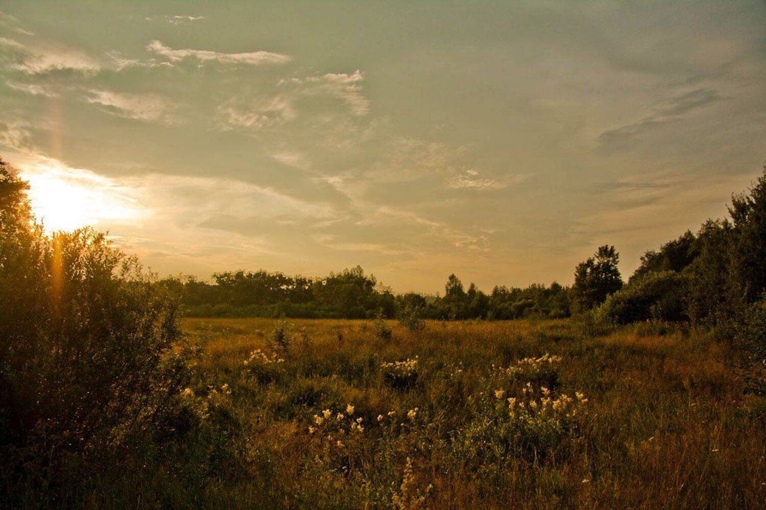 , Артур Ярославский