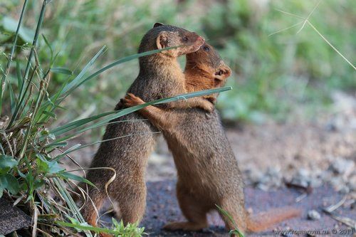 Долгожданная встреча.