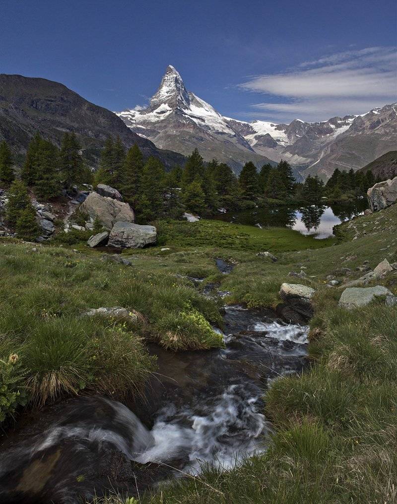 swiss, Матвеев Николай