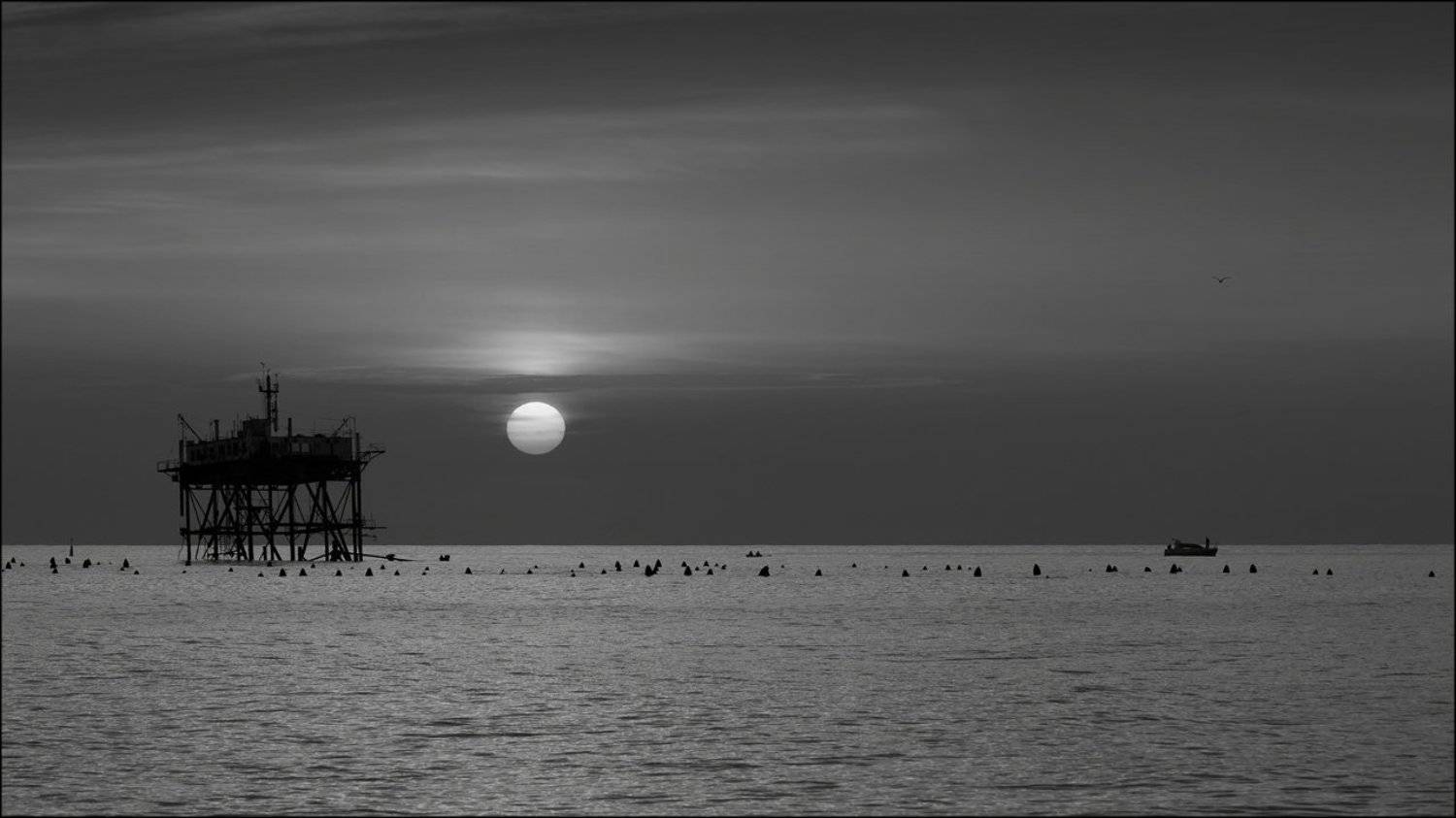 кацивели, крым, Лариса Гурьева