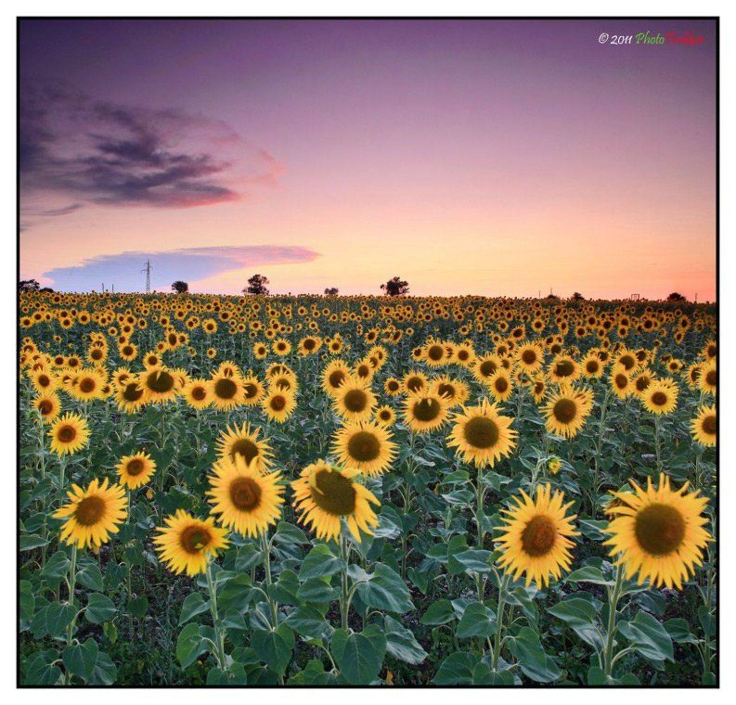 panorama, sunset, summer, bulgaria, 2011, o3one