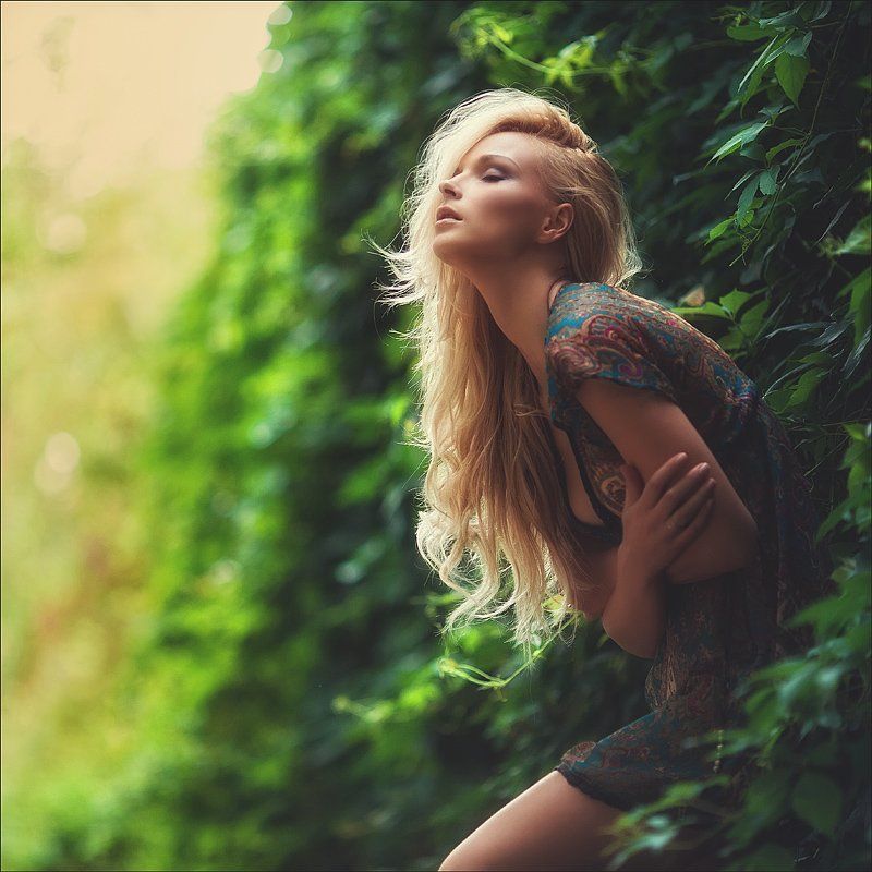 фото превью