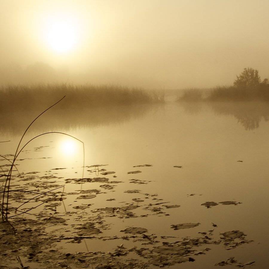 , СПИРИДОНОВ НИКОЛАЙ