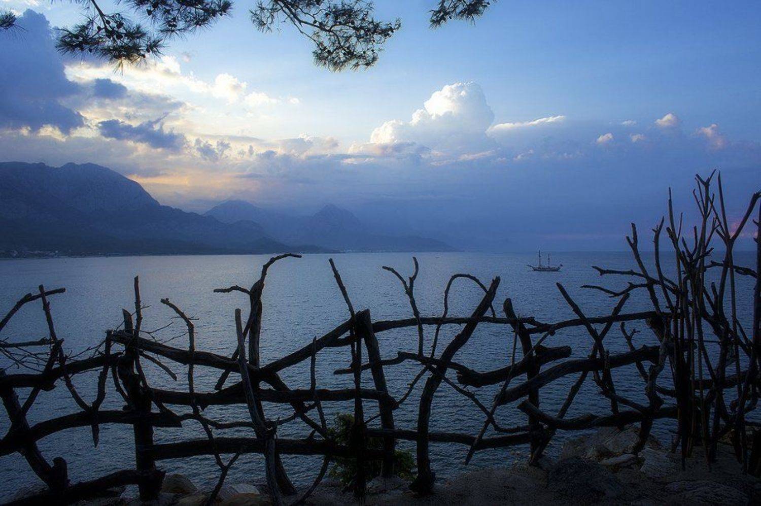 , Сергей Бородин (Minstrel)