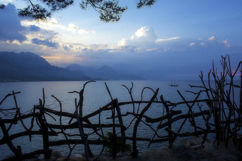 фото превью