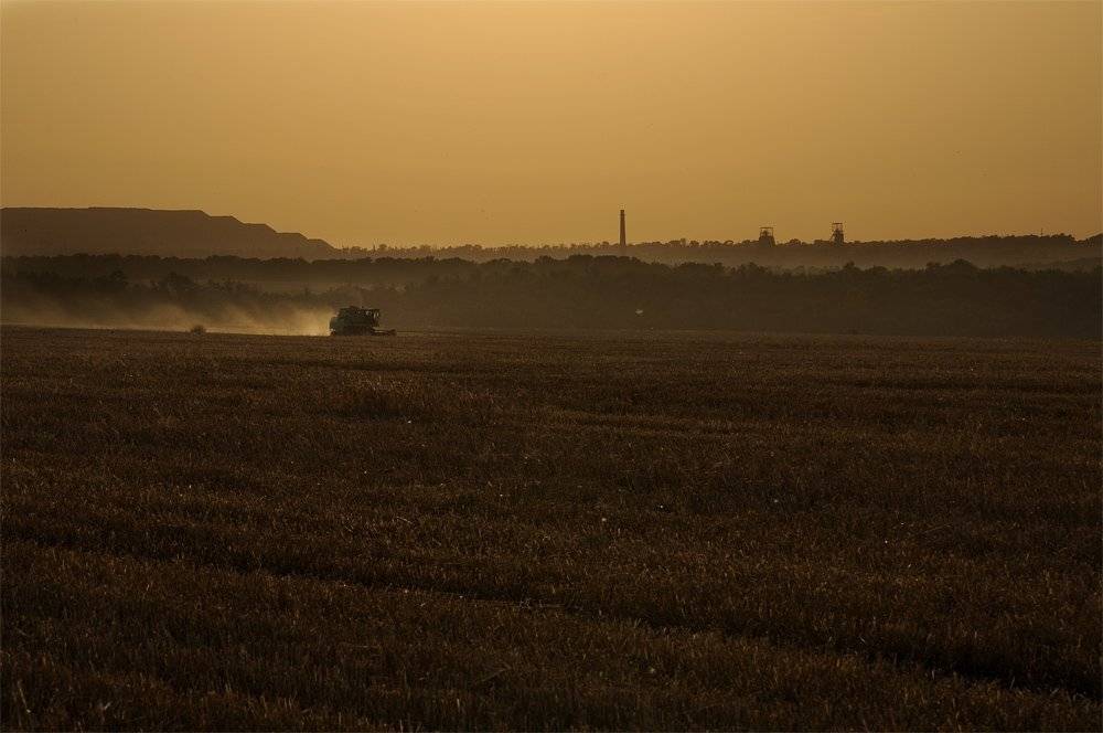 , Дeнис Бoдрoв