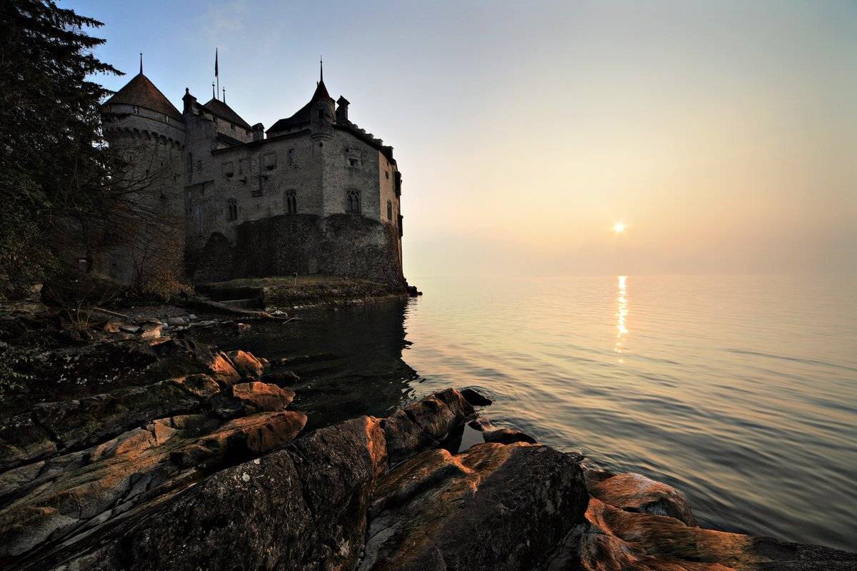 swiss, Матвеев Николай