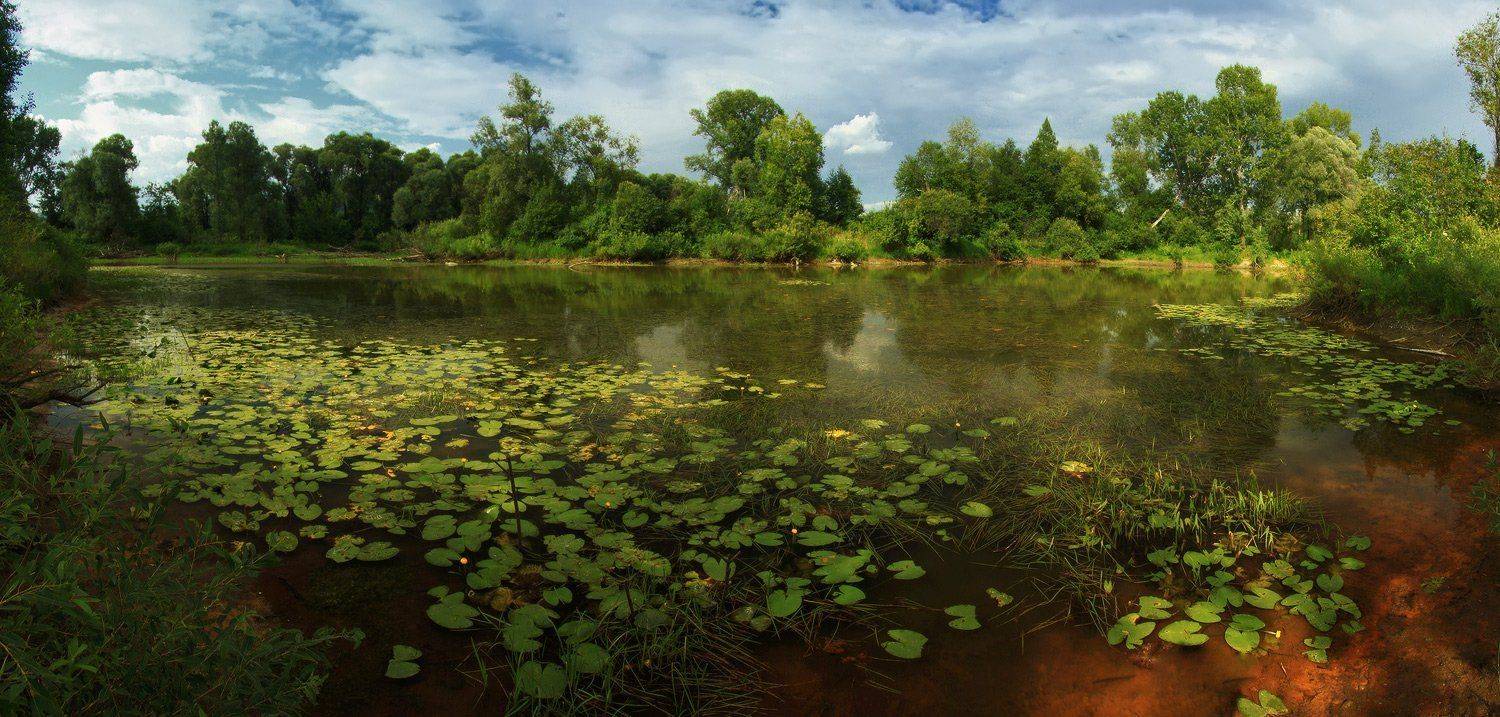 , Галина Хвостенко